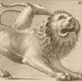 Chimaera
