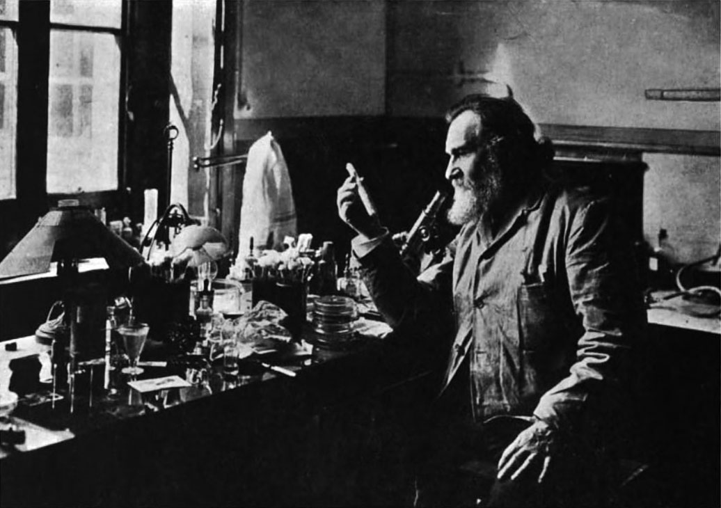 The Fallibility of the Immune: Metchnikoff’s lie